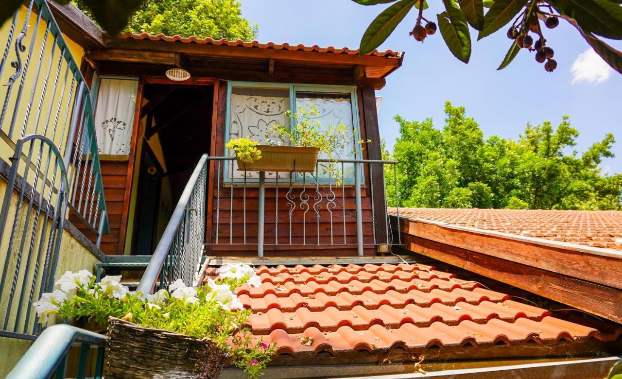 Brush And Wind Villa Hagoshrim Kültér fotó